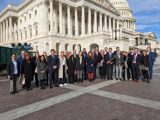 GID 2022 Participants at U.S. Capitol